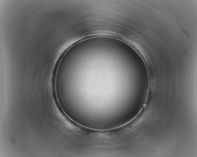 X0000111600995200907231232
