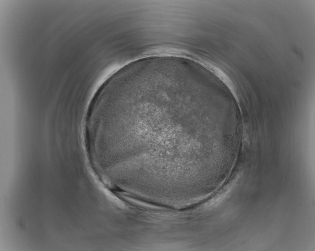 X0000111600997200907231232