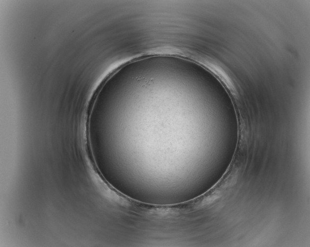 X0000111601000200907231232