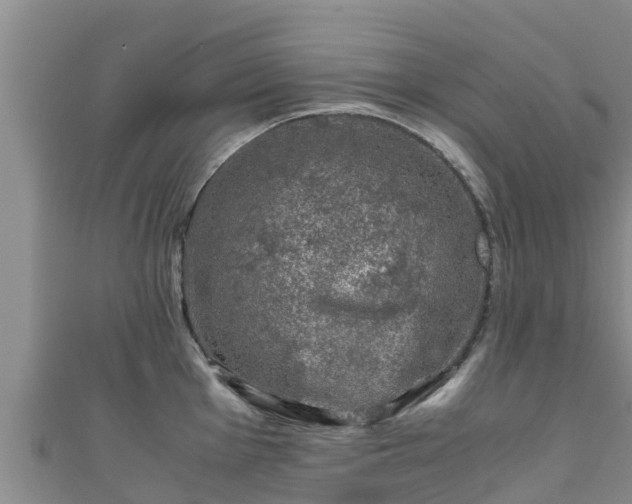 X0000111601001200907231232
