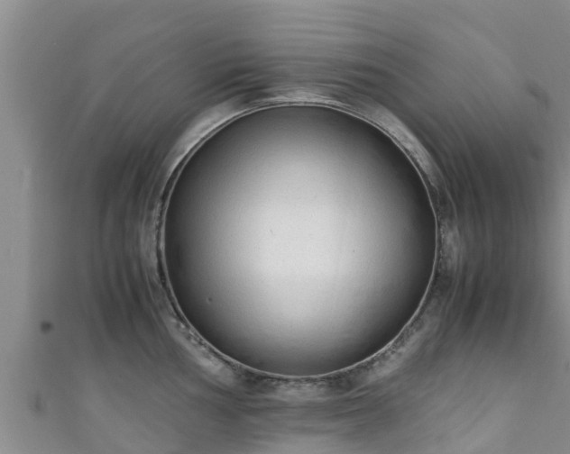X0000111601002200907231232