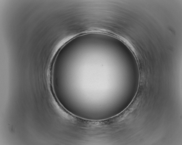 X0000111601003200907231232