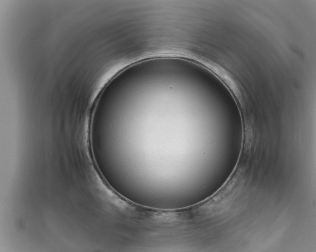 X0000111601006200907231232