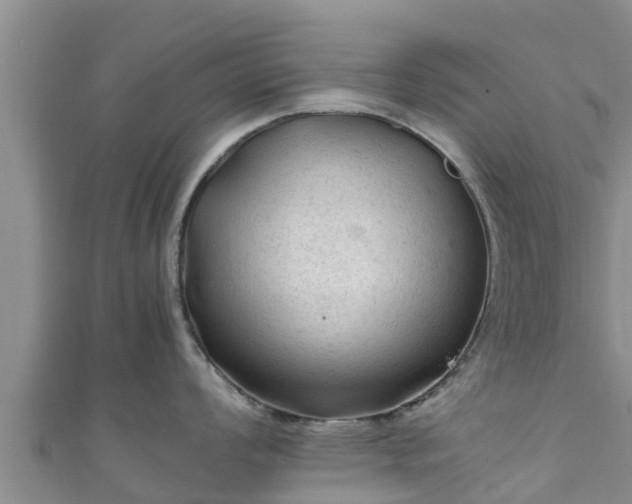 X0000111601008200907231232