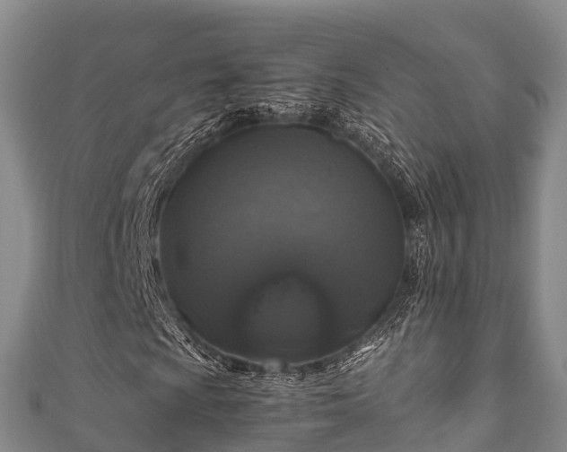 X0000111601009200907231231