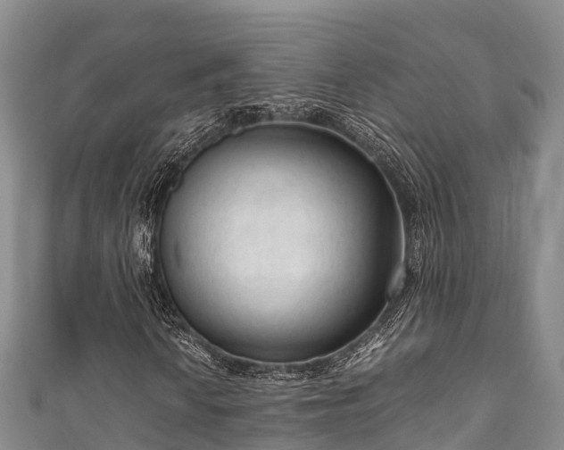 X0000111601010200907231231