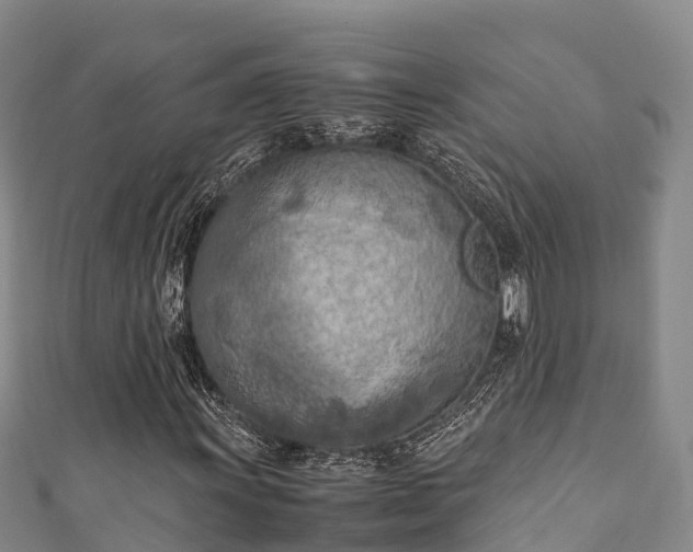 X0000111601011200907231231