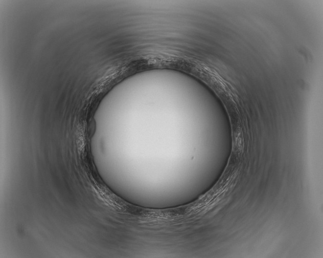 X0000111601012200907231231