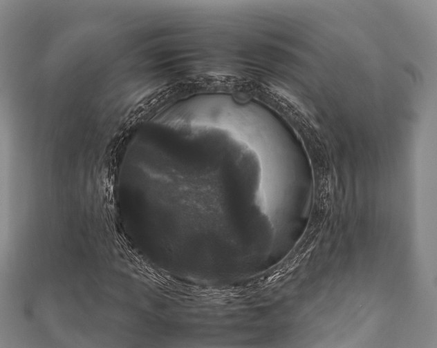 X0000111601013200907231231