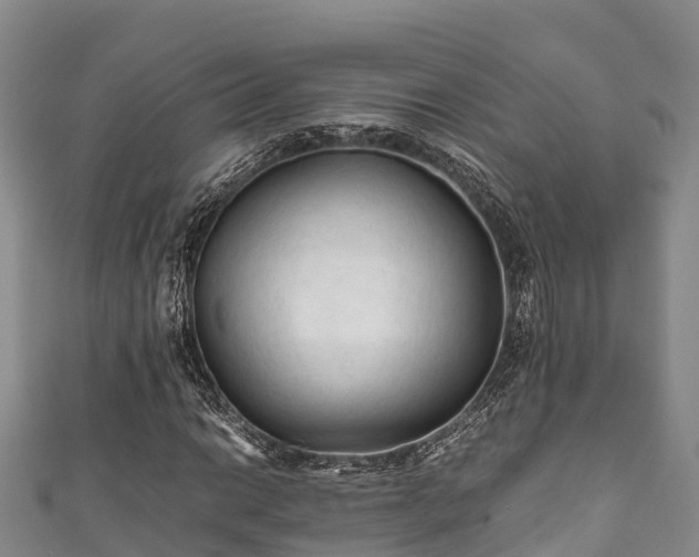 X0000111601014200907231231