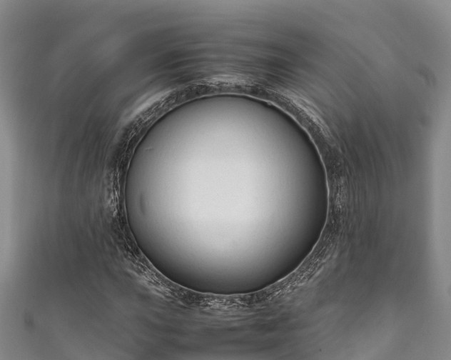 X0000111601015200907231231