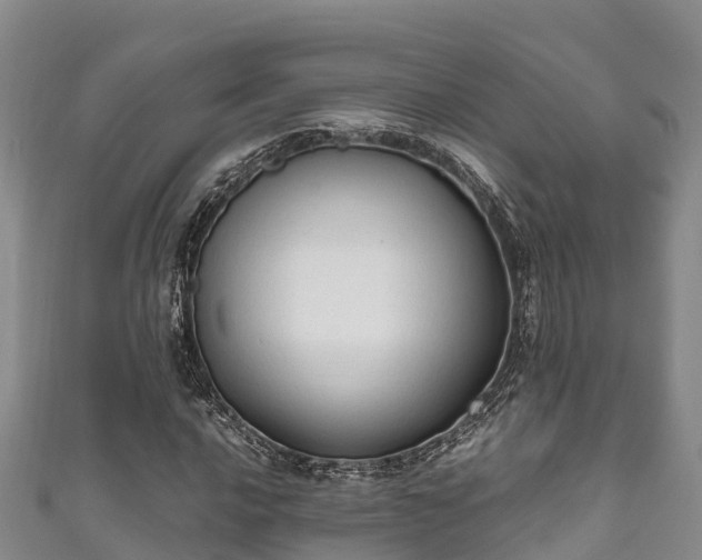 X0000111601016200907231231