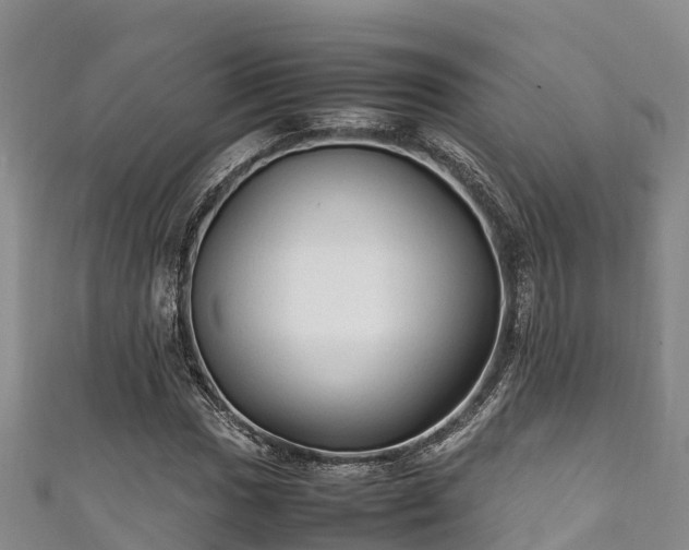 X0000111601017200907231231