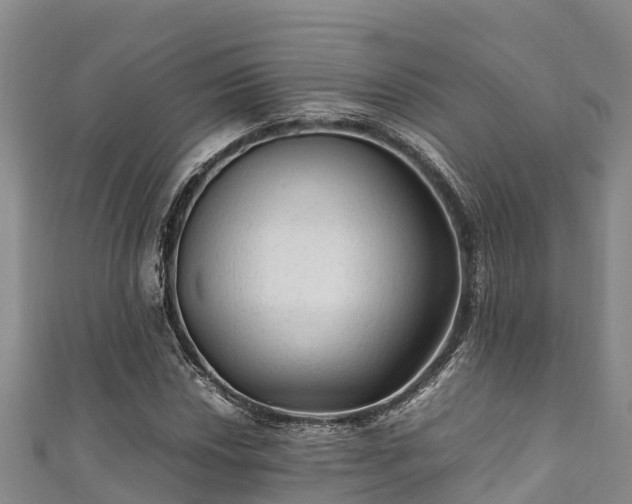 X0000111601018200907231231