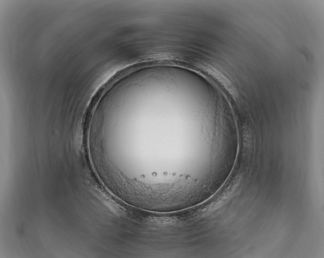 X0000111601023200907231231