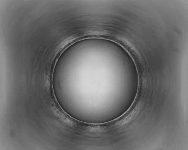 X0000111601025200907231231