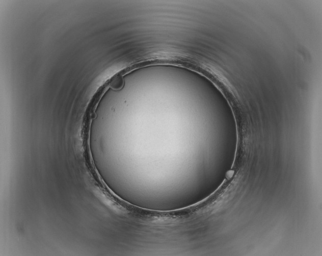 X0000111601026200907231231
