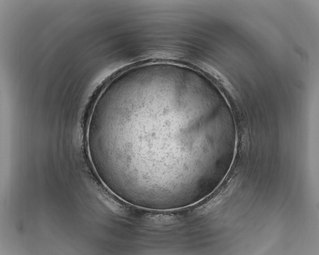 X0000111601027200907231231