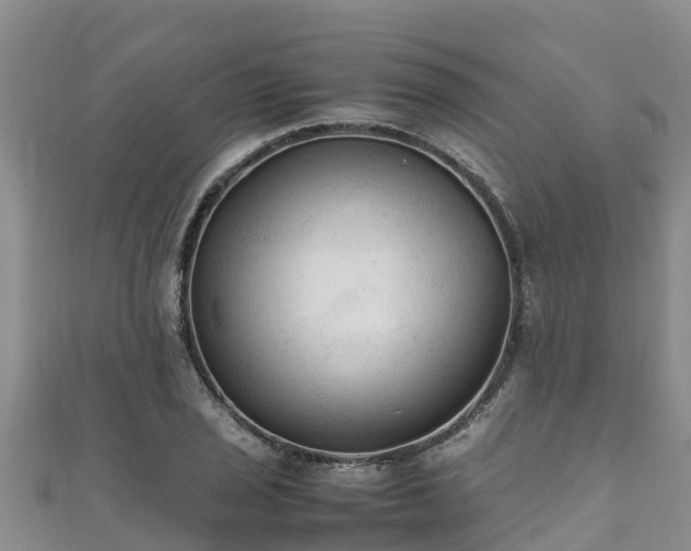X0000111601029200907231231