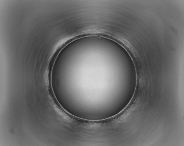 X0000111601030200907231231