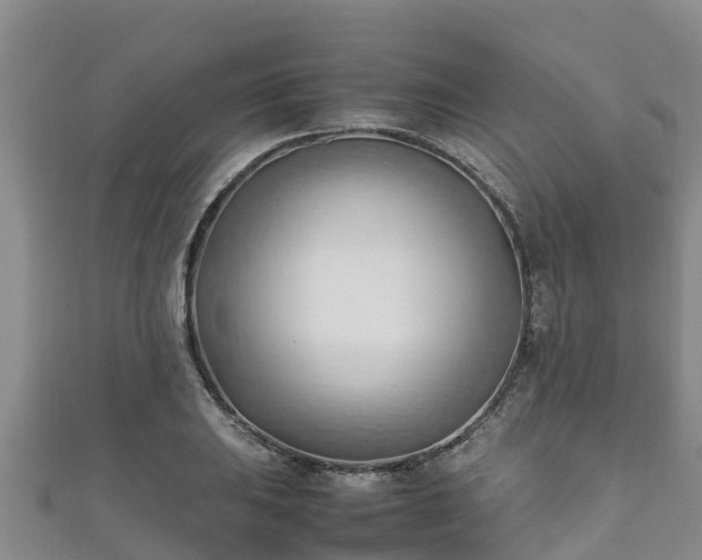 X0000111601031200907231231