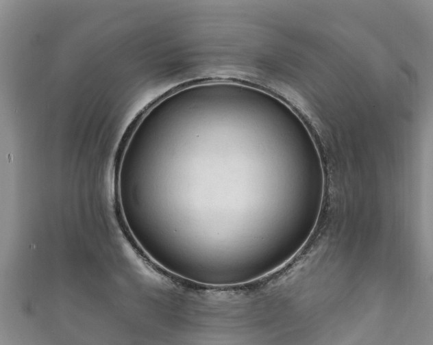 X0000111601032200907231231