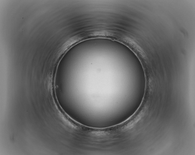 X0000111601033200907231231