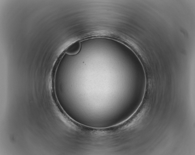 X0000111601034200907231231