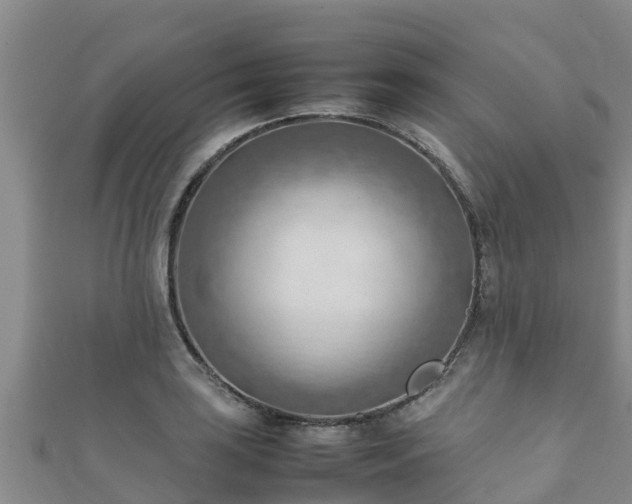 X0000111601035200907231231