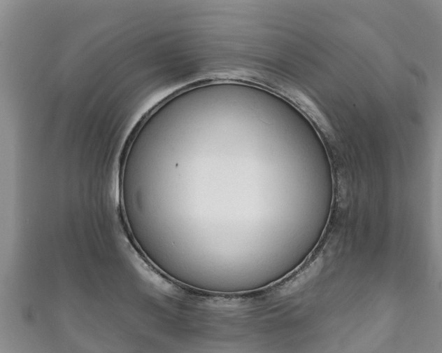 X0000111601036200907231231