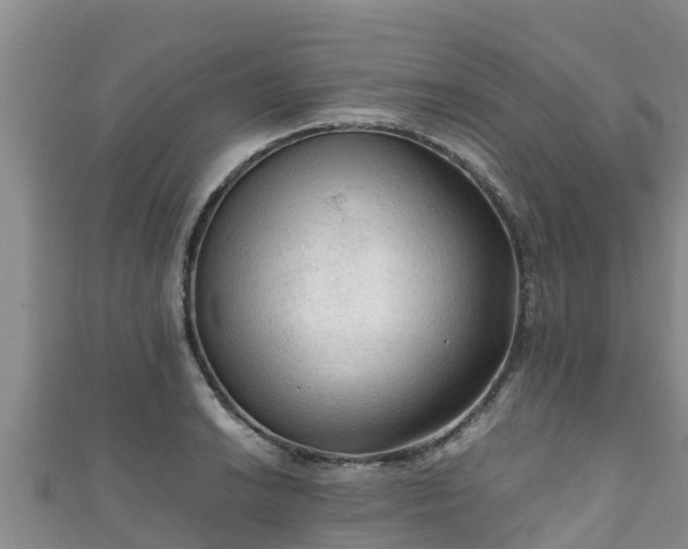 X0000111601038200907231231
