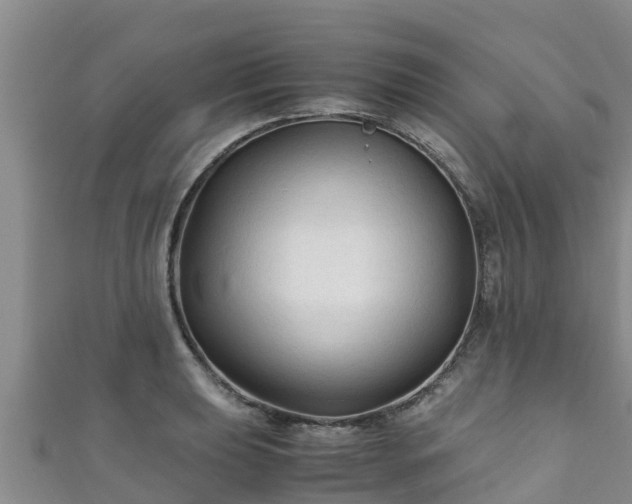 X0000111601039200907231231