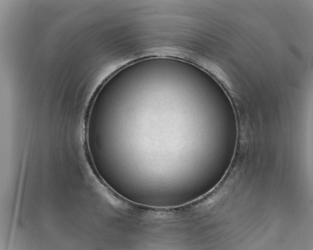 X0000111601040200907231232