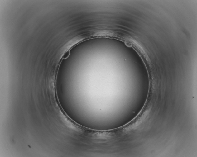 X0000111601041200907231232