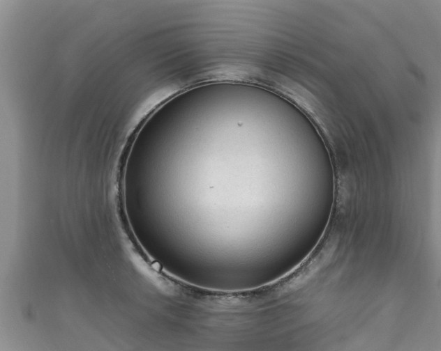 X0000111601042200907231232