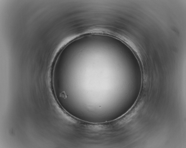 X0000111601045200907231232