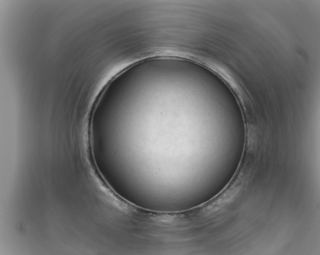 X0000111601048200907231232