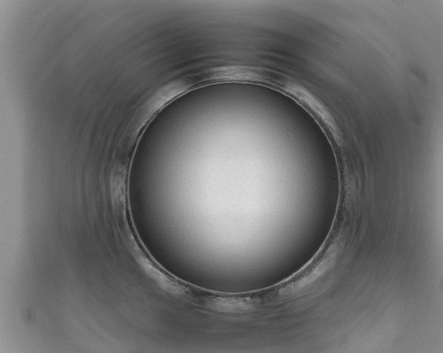 X0000111601049200907231232
