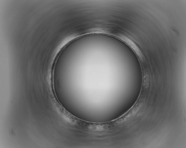 X0000111601051200907231232