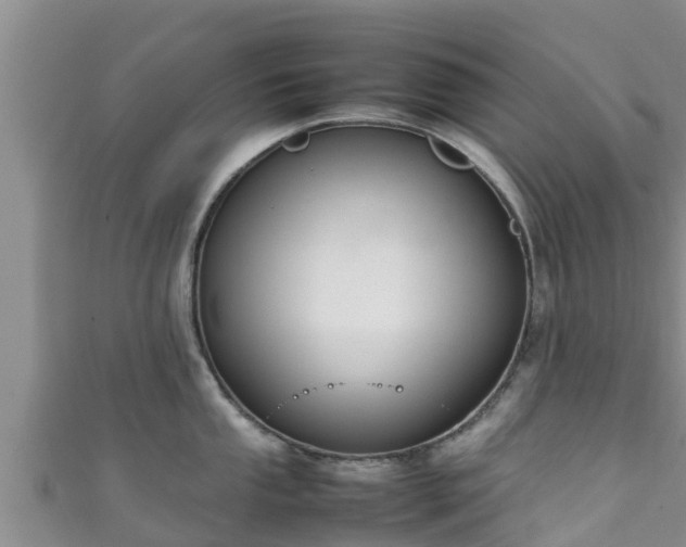 X0000111601053200907231232