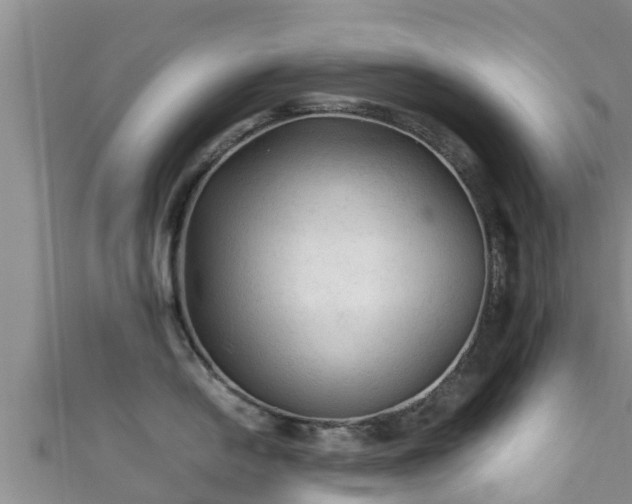 X0000111601054200907231232