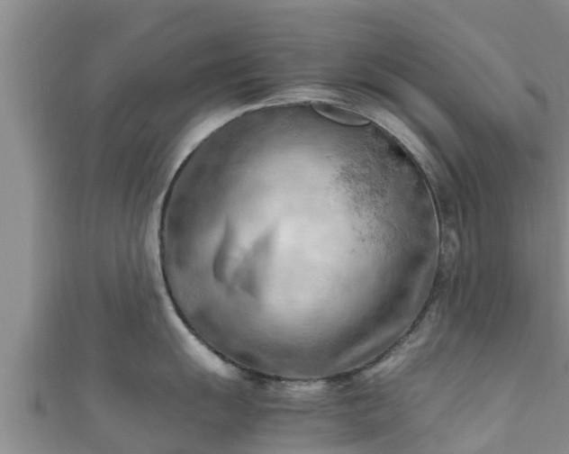 X0000111601055200907231232