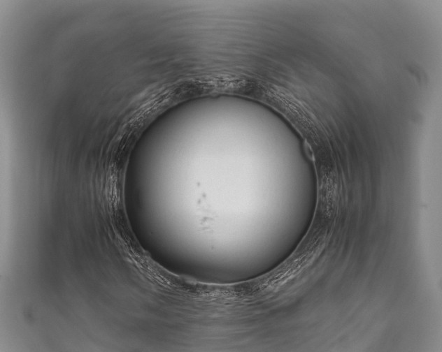 X0000111601058200907231231