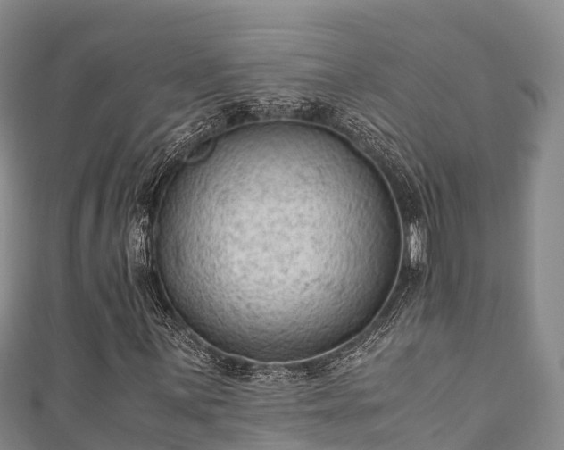 X0000111601059200907231231