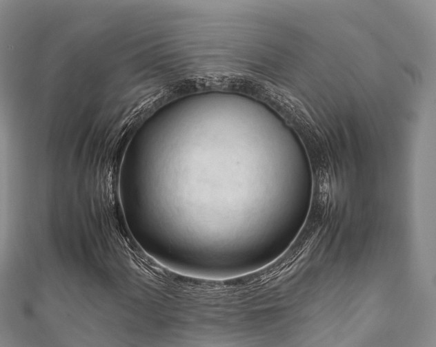 X0000111601060200907231231