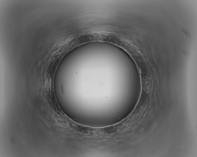 X0000111601061200907231231