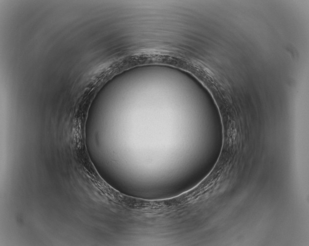 X0000111601062200907231231