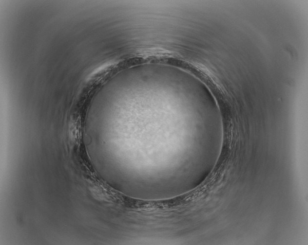 X0000111601063200907231231