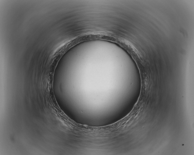 X0000111601064200907231231