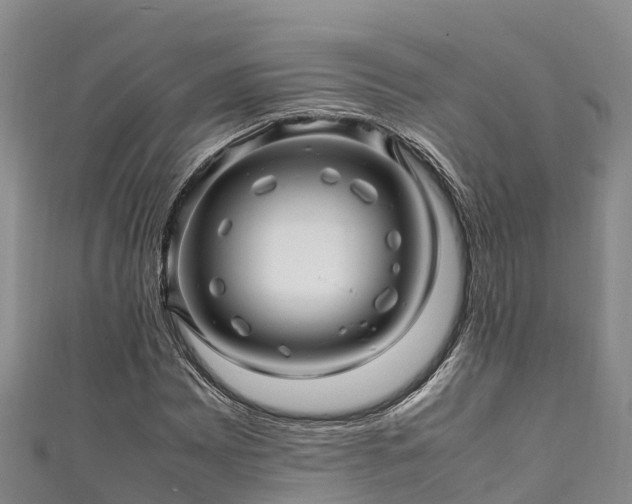 X0000111601065200907231231
